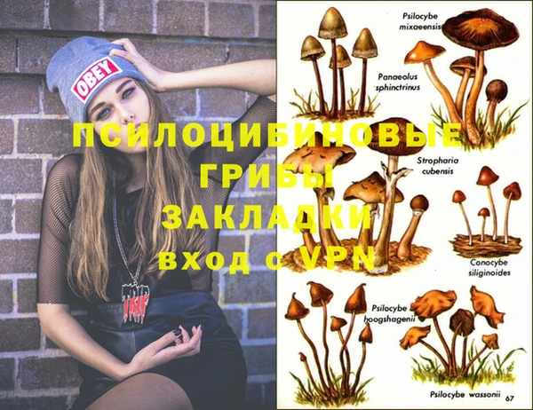 ECSTASY Алзамай