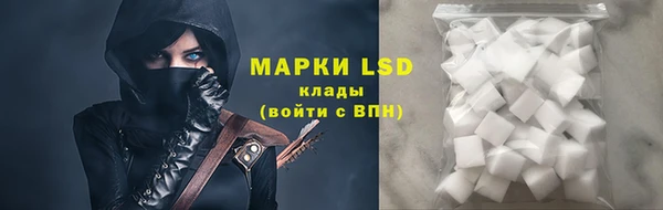 ECSTASY Алзамай