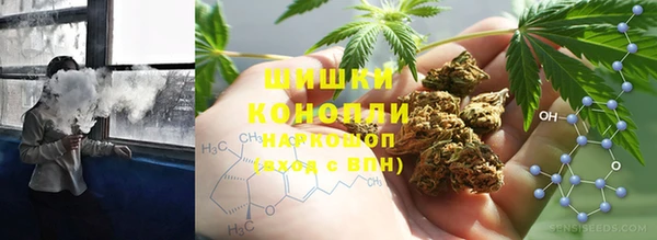 винт Аркадак