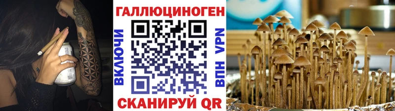 Галлюциногенные грибы Cubensis  Ликино-Дулёво 